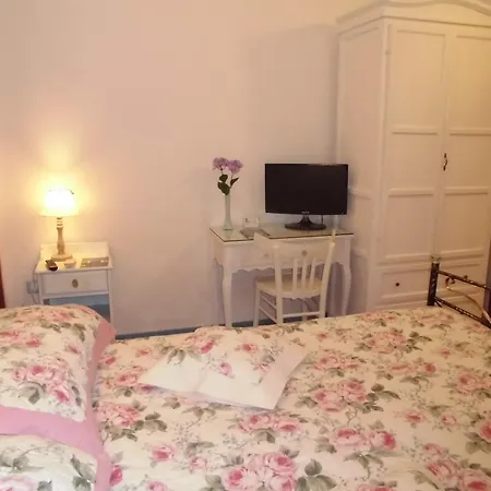 Araucaria Торре-Сан-Джованни-Удженто