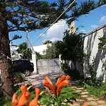 Araucaria 3*