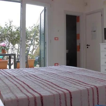 Araucaria Torre San Giovanni Ugento